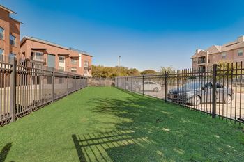 Dog park